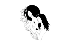 White Doe